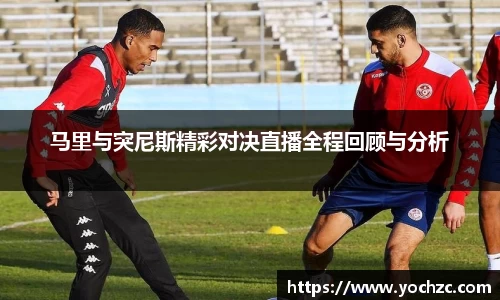 马里与突尼斯精彩对决直播全程回顾与分析